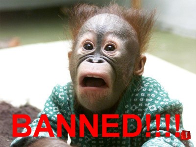 Hôm nay 1/7/09 vào hồi 16h57 Banned-chimp