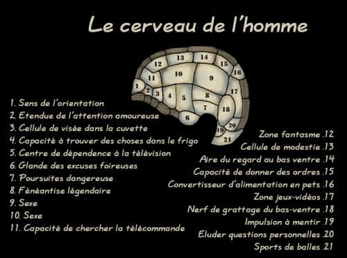 NOS AMIS LES HOMMES... Ey7y6e7z