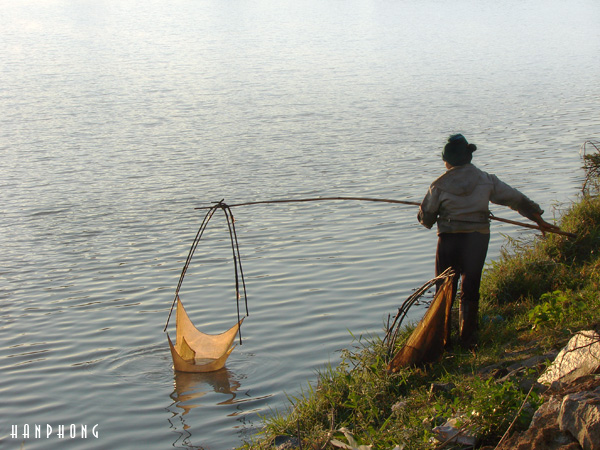 Bộ ảnh An Khê mùa Tết 2010 DSC06678a