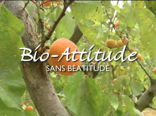 bienvenu a tous - Page 4 Bio_attitude-a9f4a