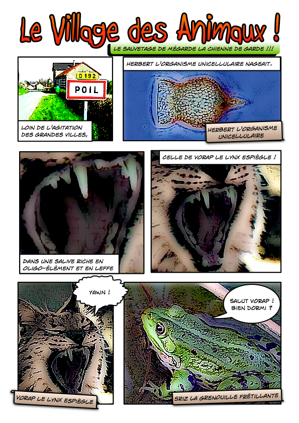 Le village des animaux (car l'ennui me gâte) Page_1