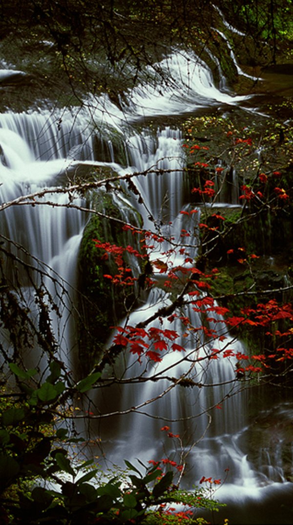 Thác nước đẹp  Waterfall-05