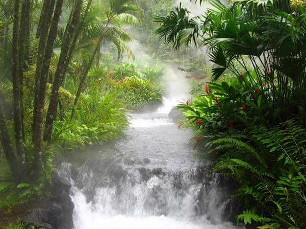 Thác nước đẹp  Waterfall-14