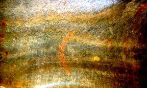 Does the Cave of the Golden Boomerang Contain Profound and Important Pre-historic Rock Engravings? GoldenBoom-left_1646_web4-300x180