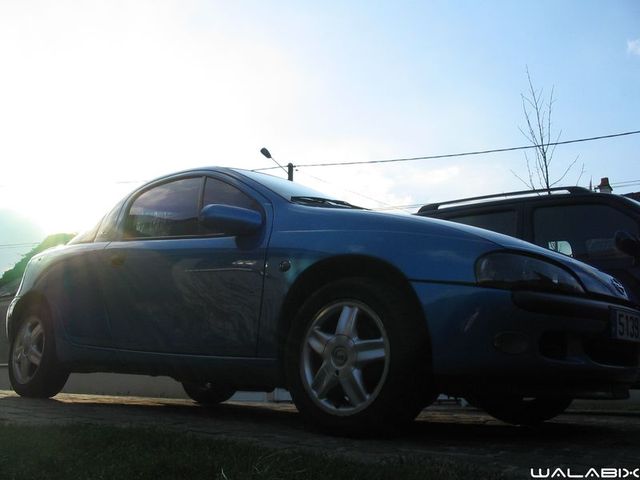 Opel Tigra bleu bermudes Walabix_27