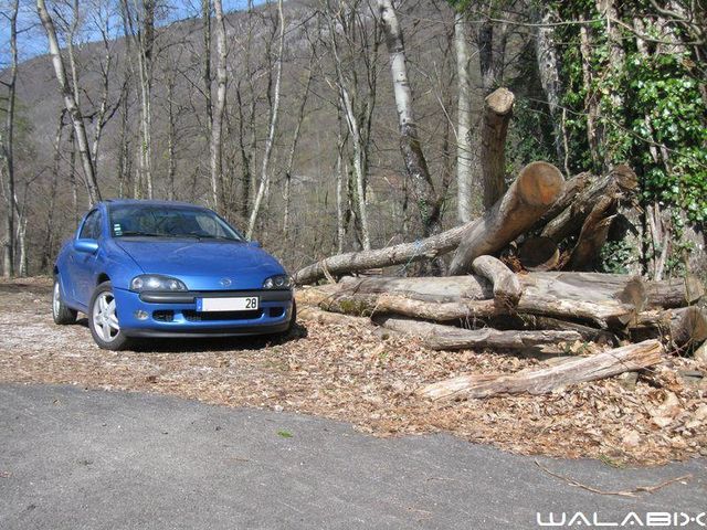 Opel Tigra bleu bermudes Walabix_31