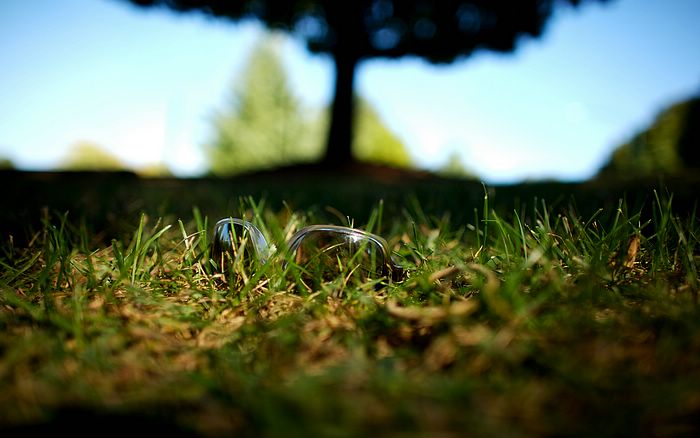 Treasures Of The Earth Nature_snapshot_grass