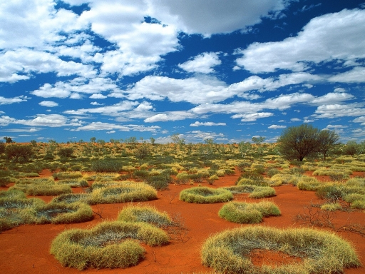 Najveće pustinje na svetu  Thumb_big_6c7a254103916b4c0e7dd4b3ecd55618