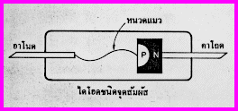 ชนิดของไดโอด P5d01