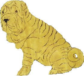 shar-pei 13