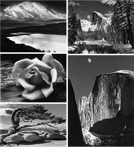 Crno-beli svet - Page 4 Anseladams