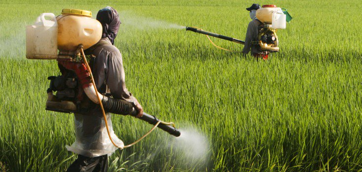 Glyphosate, malbouffe… Les lobbies influencent toujours le Parlement au détriment de notre santé Pesticides_field_guys_735_350-735x350