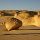 ballenas - Valle  de las ballenas -Wadi Al-Hitan Site_1186