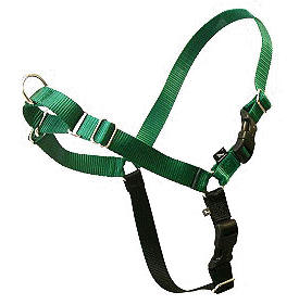 Que pensez-vous du Halti? Ezwalk-halter-green275