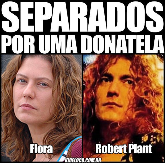 Banalidades e afins - Pgina 3 Plant_donatela