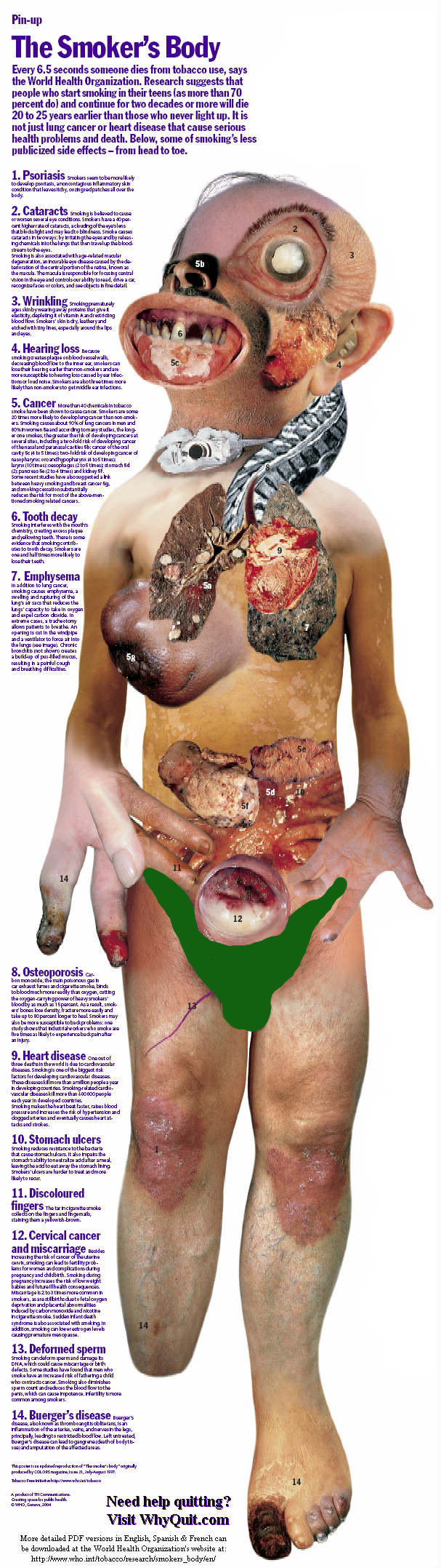 Apa keistimiwaan urang nang manghisap rokok Smokersbody