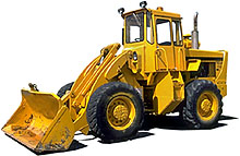 Quizz animalier - Page 6 Bulldozer