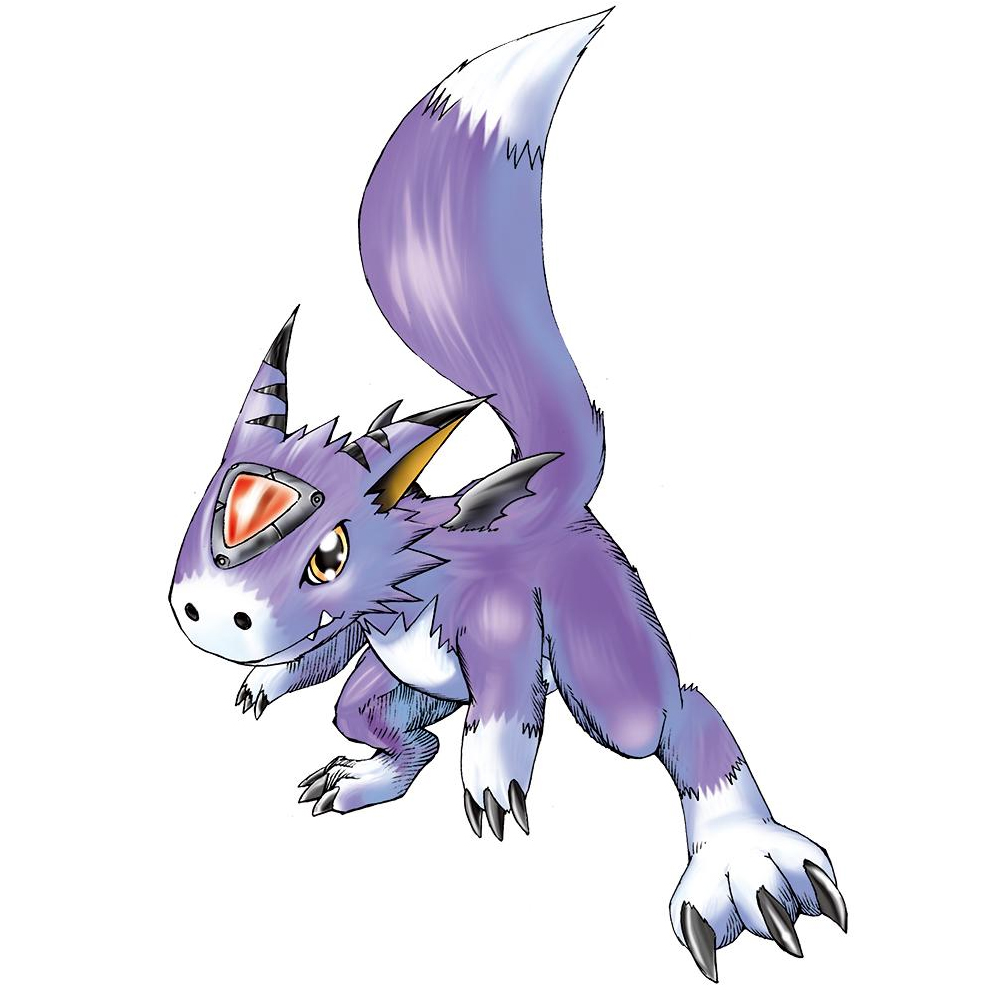 Rookie Dorumon