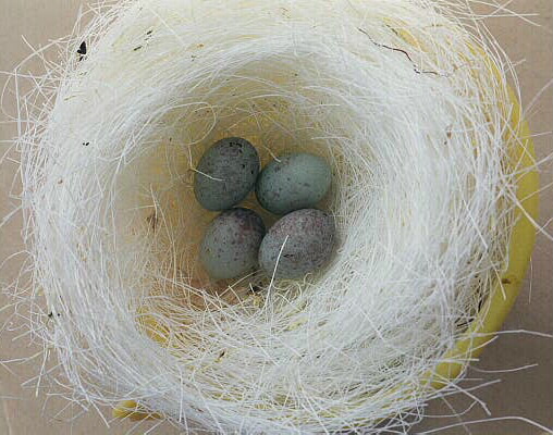 اسئل ونحن نجيب Nest4egg