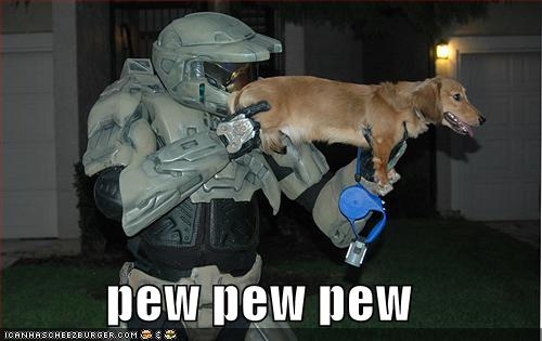 funny pictures Funny-pictures-halo-dog-pew