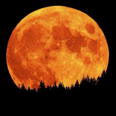 Don't Miss The Harvest Mini-Moon - The Most Beautiful Full Moon of the Year Full-harvest-moon12