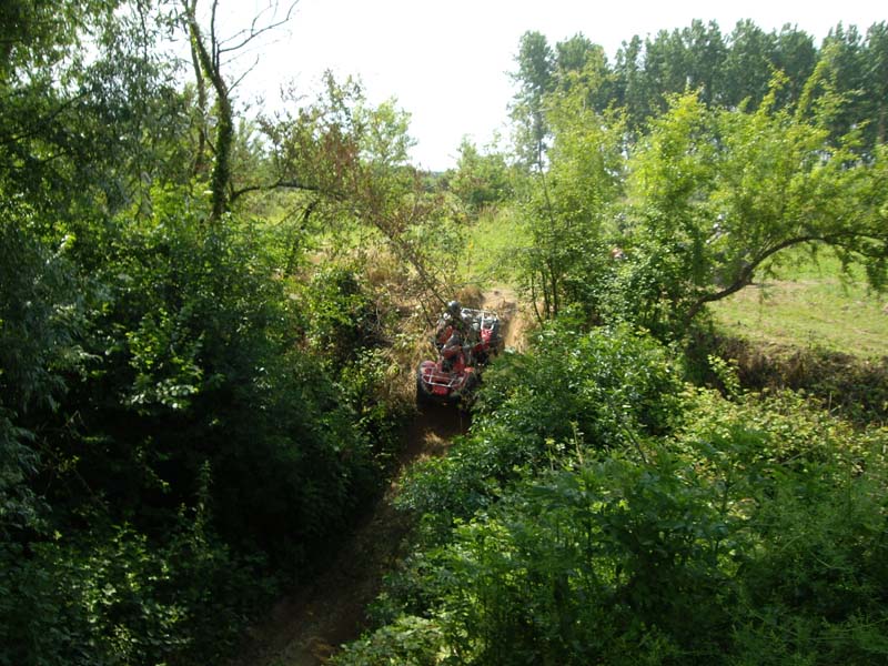 Rando avec Yankee du cote de marmande St-bazeille-05-2009-0009