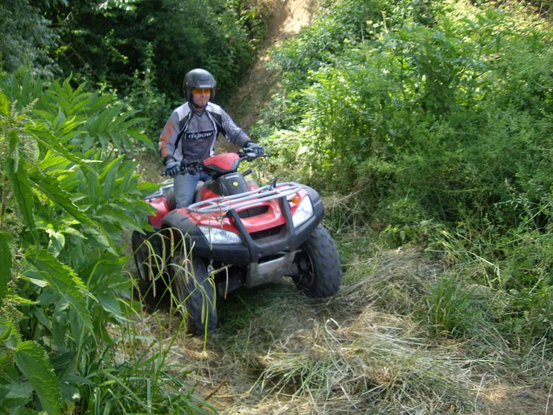 Rando avec Yankee du cote de marmande St-bazeille-05-2009-0010