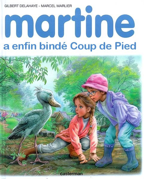 Pour les fan de Martine ! 391