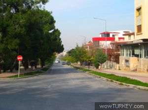 Çamlık Caddesi K_Yasin_Efesoy_Camlik_Cd_1