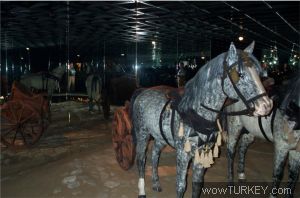 ARABA MUZESI FOTOGRAFLARI K_Hakan_Cirpak_AMUZE5