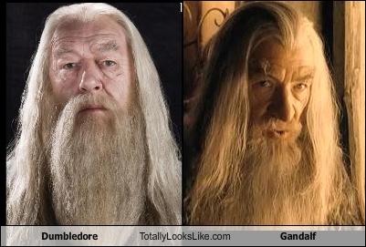 Nagu kaks tilka vett Dumbledore-totally-looks-like-gandalf