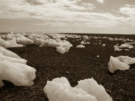 Islande 2008: les photos et videos Jokulsarlon%2029%20r