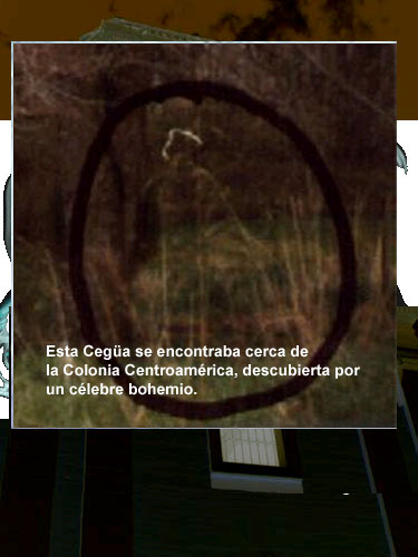             la segua  Cegua14