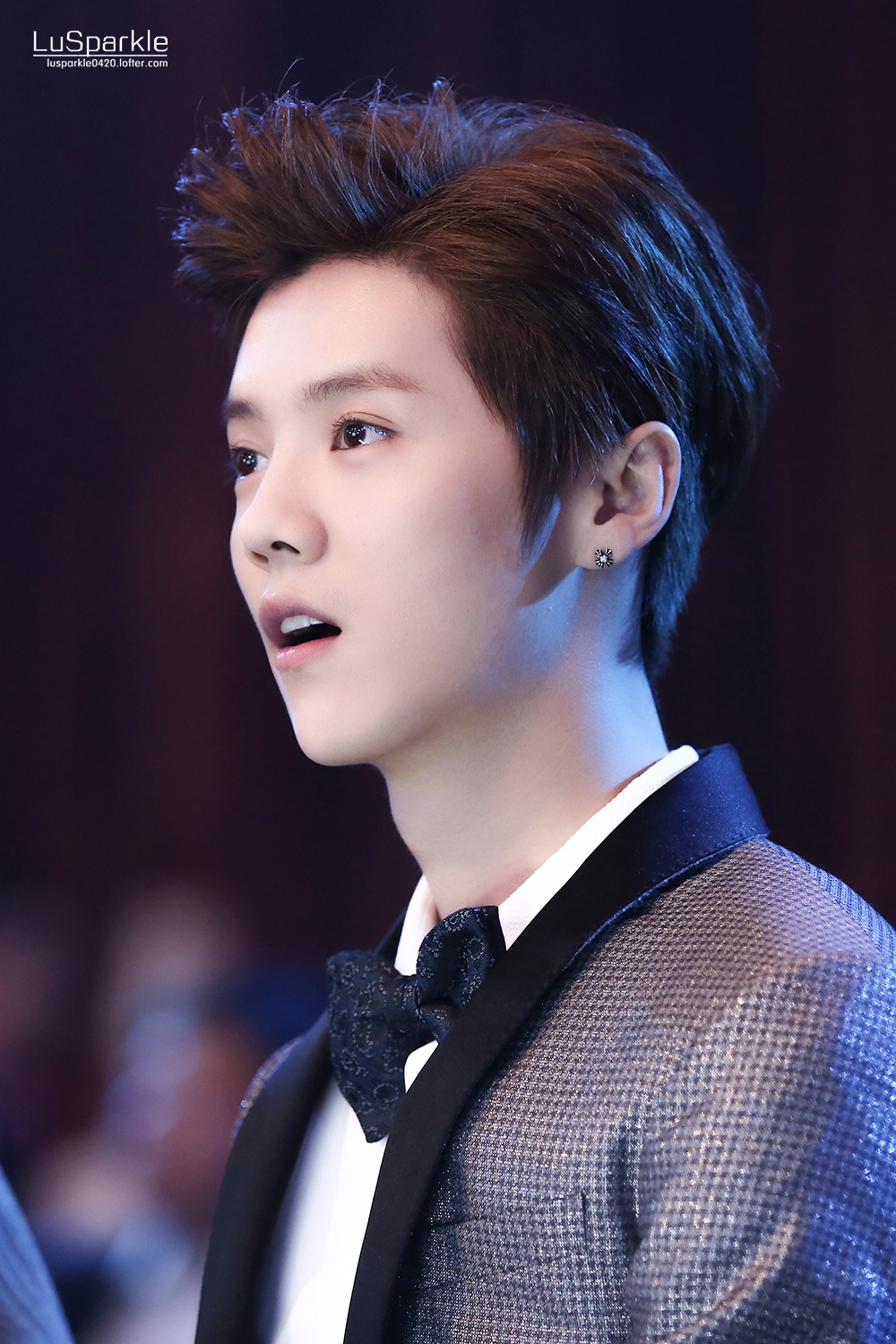 [FANTAKEN] 150115 2014 Weibo Awards Night [100P] 005OSMLnjw1eobmisjlzfj30rs15o18a
