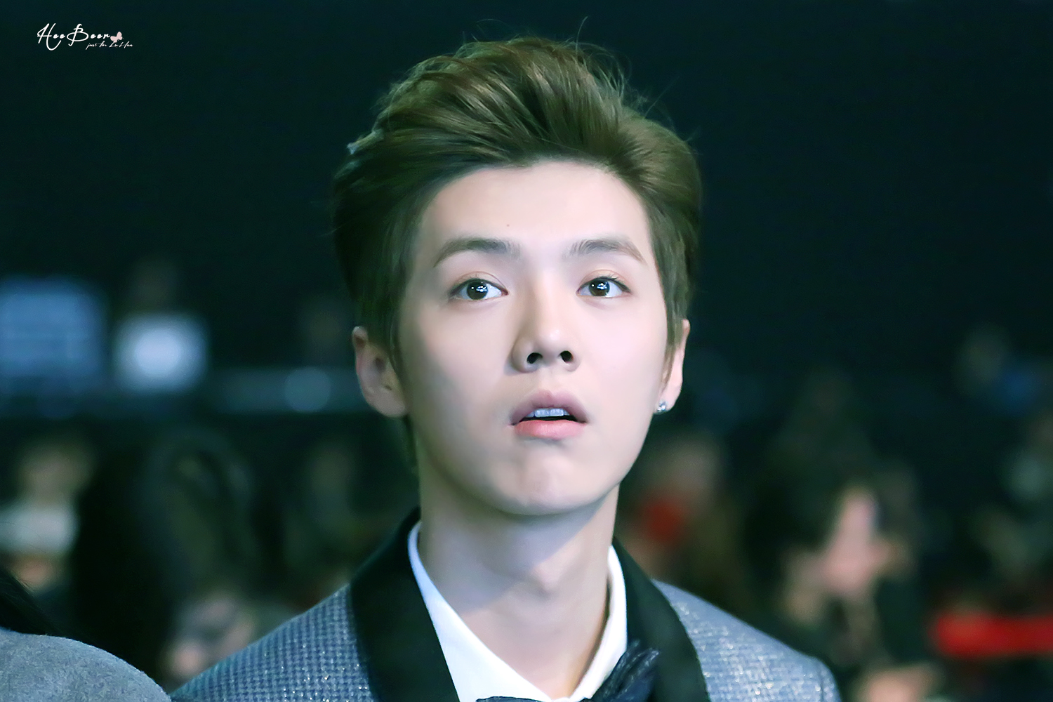 [FANTAKEN] 150115 2014 Weibo Awards Night [100P] 005vuw7Ljw1eocf3yf522j315o0rskds