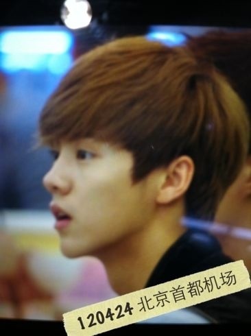 120424 EXO-M airport - Luhan 45383239jw1dsaru781m2j