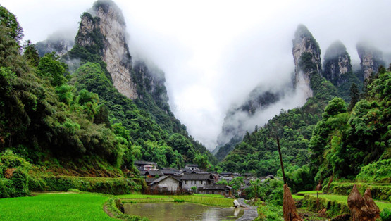 一滴来自张家界的油--带你寻味最初的深山味道 Df1d1afegw1fbc8u9mgozj20ff08q0v0