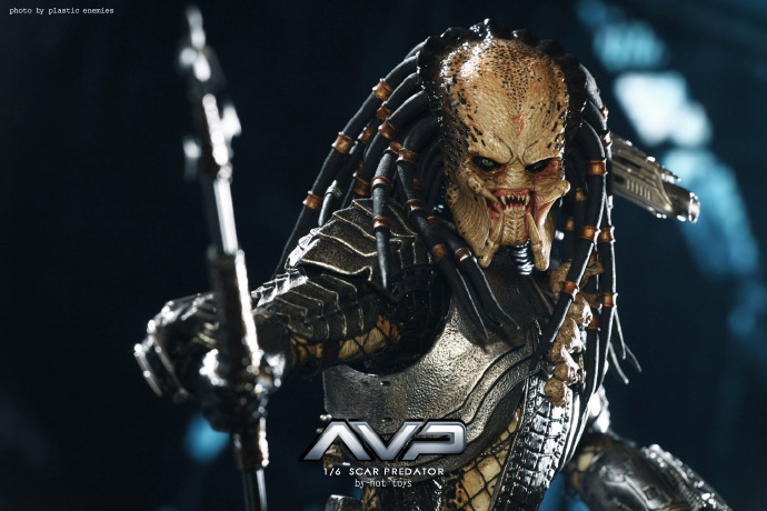 [Hot Toys] AVP: Scar Predator 1/6 scale - Página 9 6a853733gw1e7mbyyxxx6j213d0q9dnh