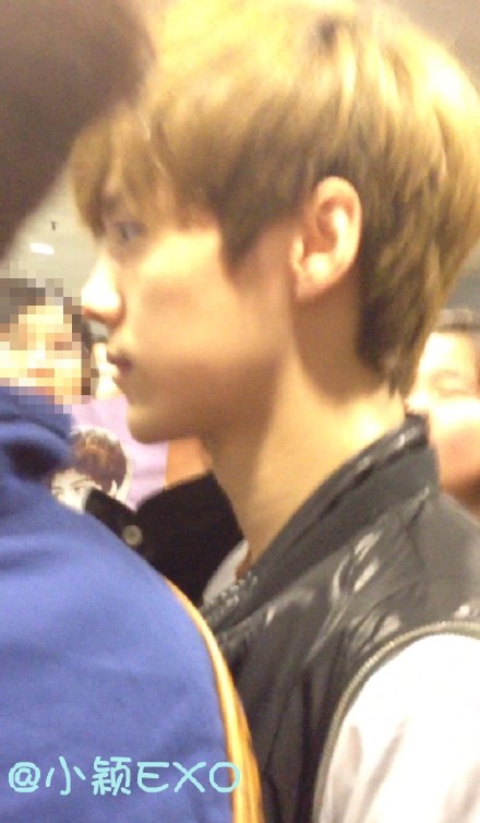 120424 EXO-M airport - Luhan 7e873aefjw1dsatfybirzj