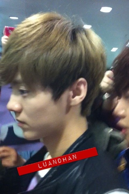 120424 EXO-M airport - Luhan 9b82bcffjw1dsaqa12h9mj