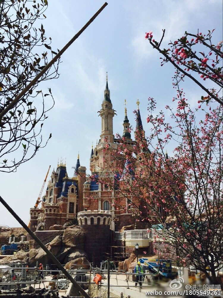 Shanghai Disneyland (2016) - Le Parc en général - Page 26 6b9e7ecdgw1f2ocqts2k2j20ku0rsgv5