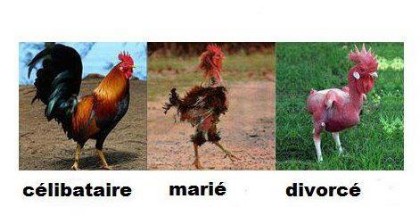 humour en images II - Page 20 254