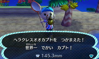 New Leaf : le nouveau nom d'Animal Crossing - Page 5 1356548589293155