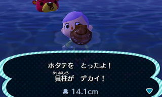 New Leaf : le nouveau nom d'Animal Crossing - Page 5 1357123194260750