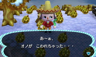 New Leaf : le nouveau nom d'Animal Crossing - Page 5 135761032049592