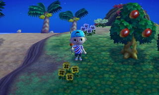 New Leaf : le nouveau nom d'Animal Crossing - Page 5 135766454792900