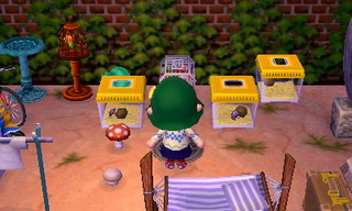 New Leaf : le nouveau nom d'Animal Crossing - Page 6 1357787793313193