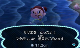 New Leaf : le nouveau nom d'Animal Crossing - Page 6 1358096832103080