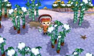 New Leaf : le nouveau nom d'Animal Crossing - Page 6 13583039676630