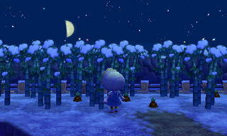 New Leaf : le nouveau nom d'Animal Crossing - Page 6 1358484983249580